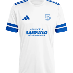 Auswärtstrikot Saison 25/26